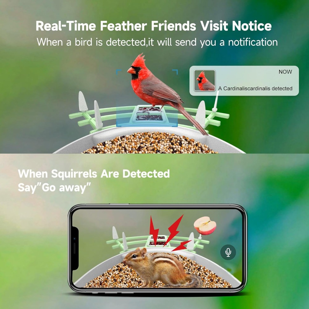 Solar Powered Smart Bird Feede - Smart Bird Feeder Camera recension och pris