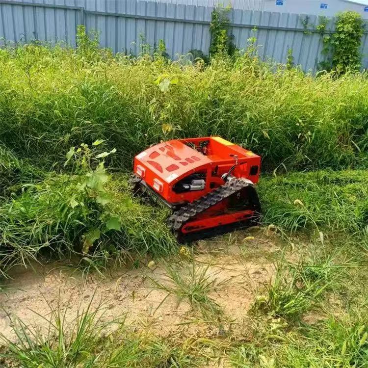 Smart Remote Control Rotatin W - Smart Garden Trimmer recension och pris