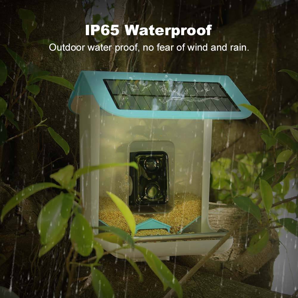 Outdoor Wildlife Wifi Camera C - Smart Bird Feeder Camera recension och pris