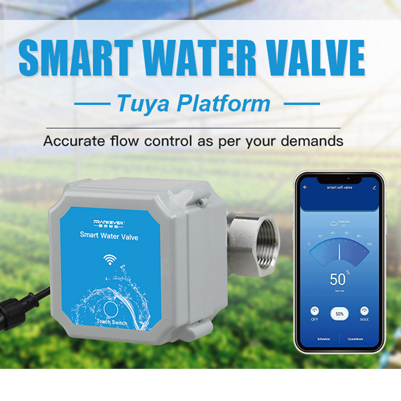 Tuya Zigbee Or Wifi Intelligen - Smart Garden Gate recension och pris