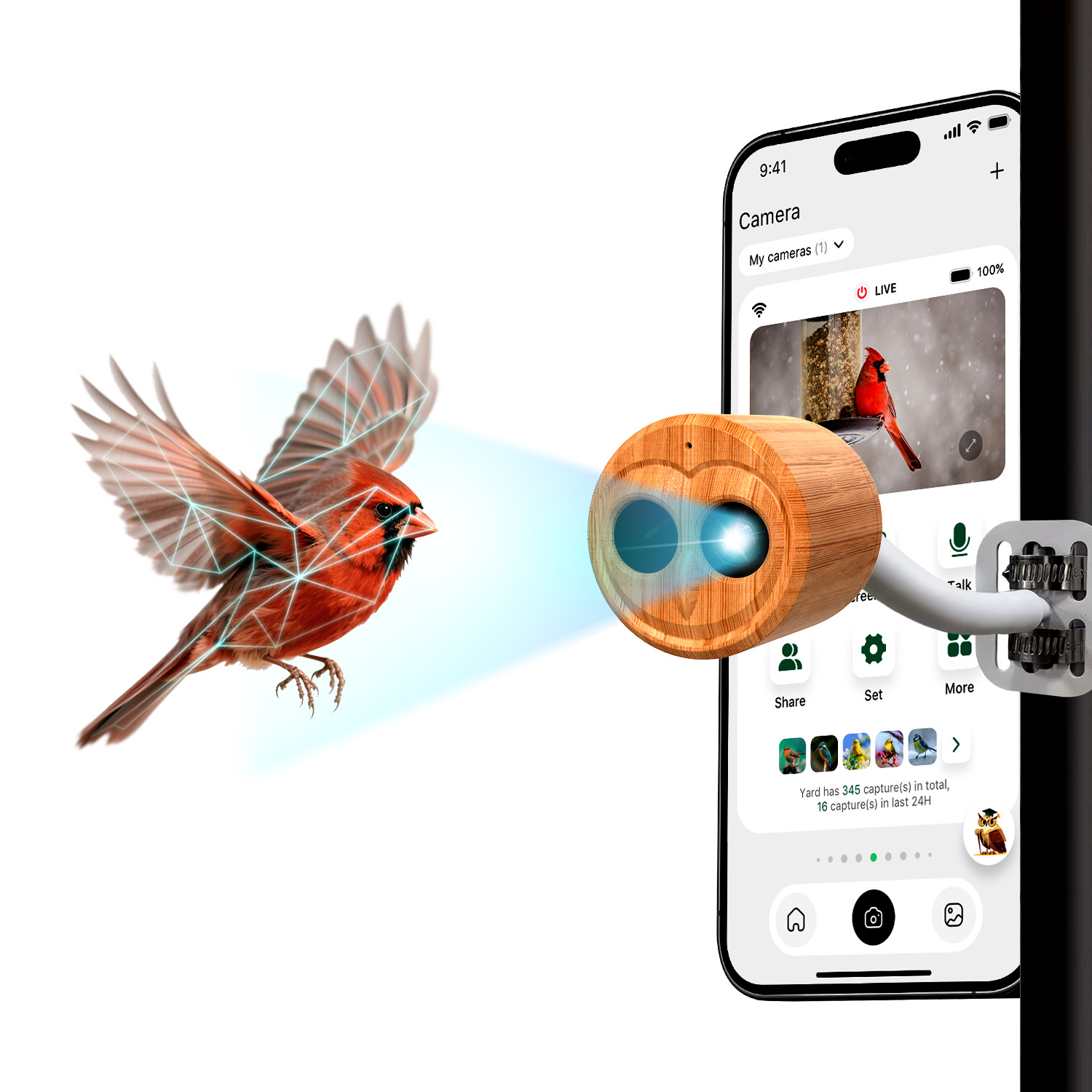 4K Smart Bird Feeder With Came - Smart Bird Feeder Camera recension och pris