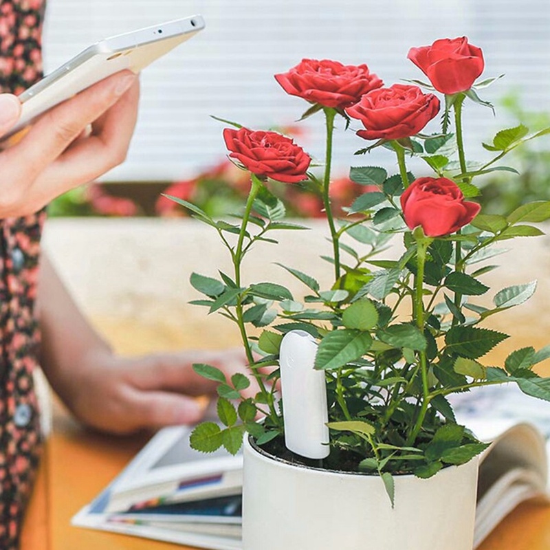 HHCC Flower Monitor Flora Gard - Smart Garden Monitor recension och pris