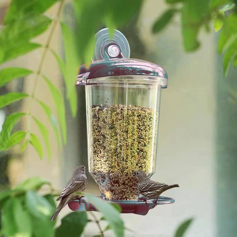Hanging Bird Feeder Transparen - Smart Bird Feeder Camera recension och pris