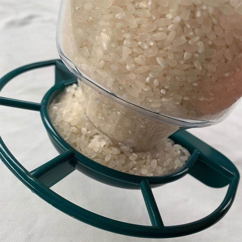 Hanging Bird Feeder Transparen - Smart Bird Feeder Camera recension och pris