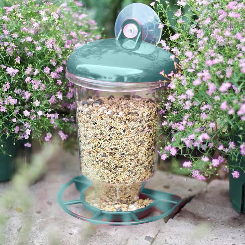 Hanging Bird Feeder Transparen - Smart Bird Feeder Camera recension och pris
