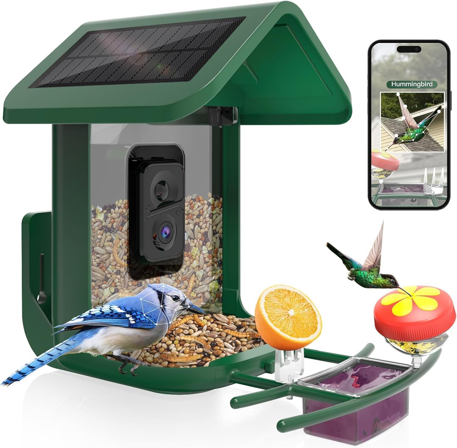 Smart Bird Feeder with Camera  - Smart Bird Feeder Camera recension och pris
