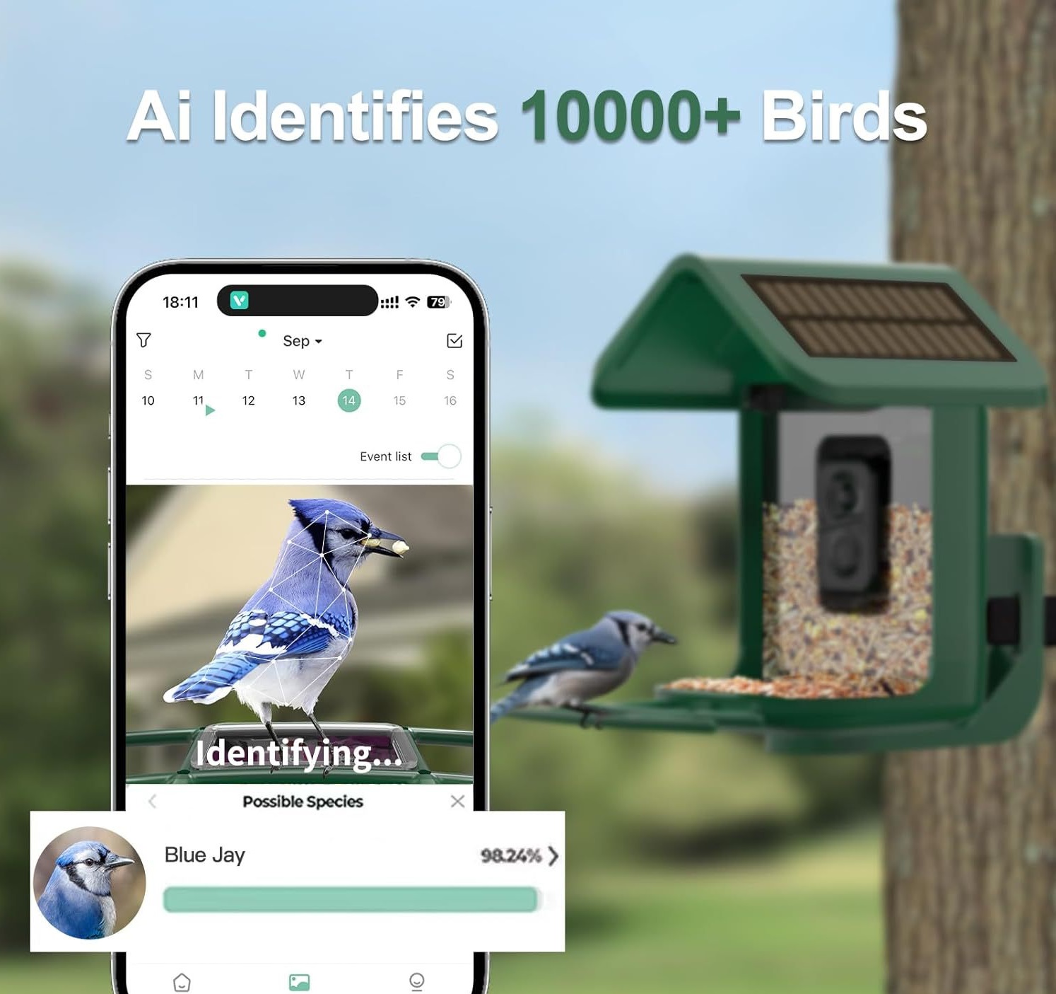 Smart Bird Feeder with Camera  - Smart Bird Feeder Camera recension och pris