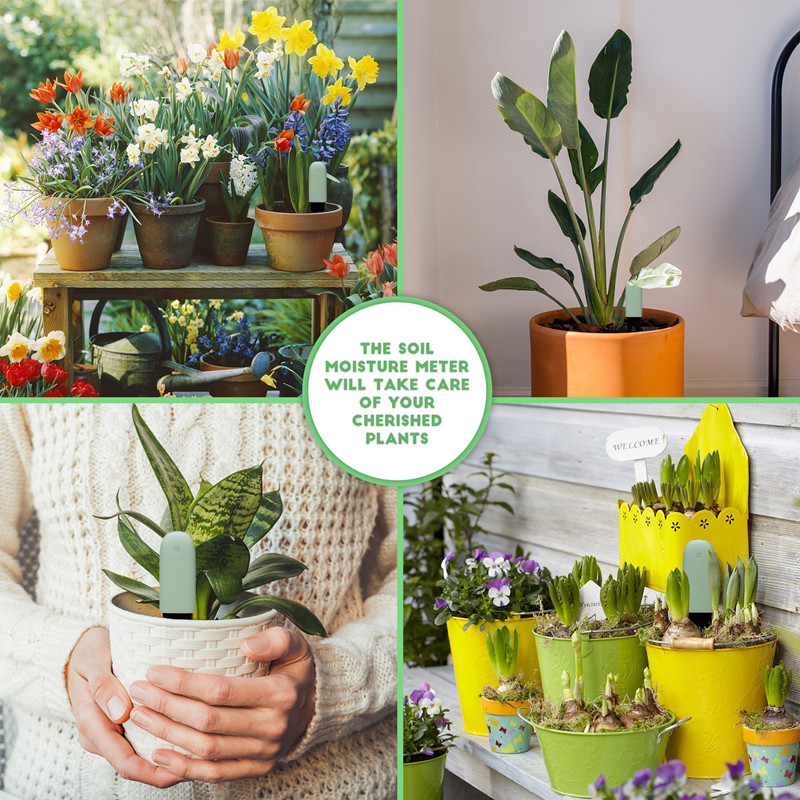 HHCC Flora Care Monitor Garden - Smart Garden Monitor recension och pris