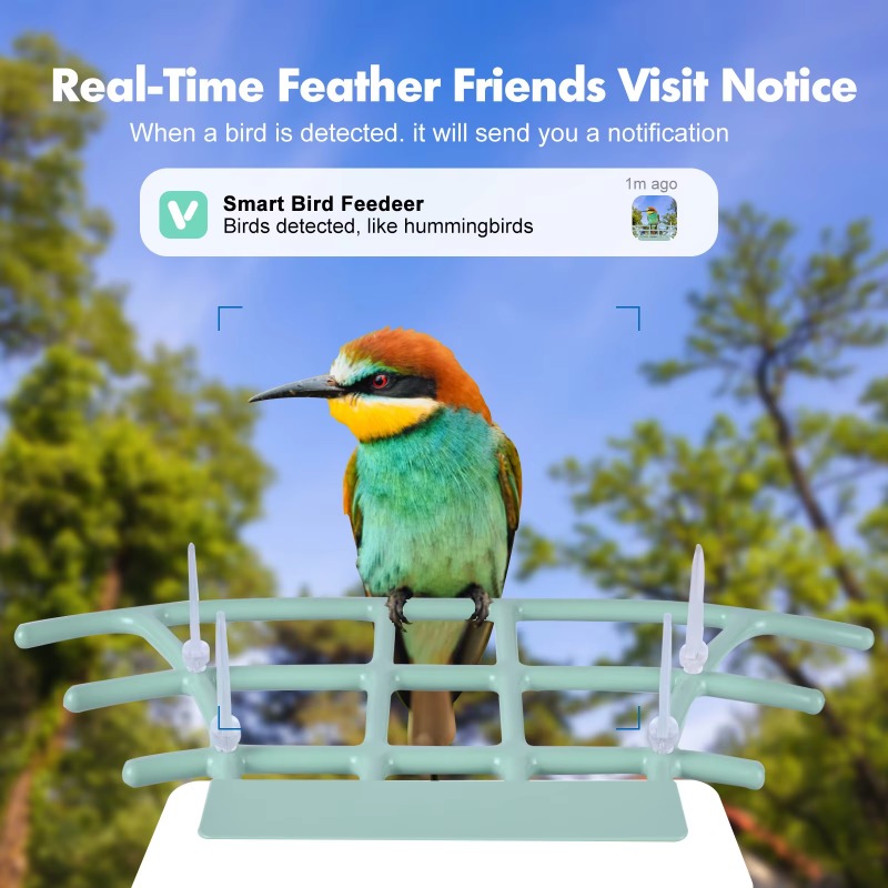 Smart Bird Feeder Night Vision - Smart Bird Feeder Camera recension och pris