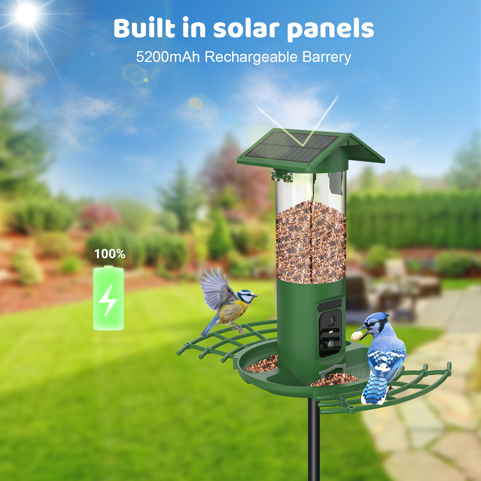 Smart Dual Camera Bird Feeder  - Smart Bird Feeder Camera recension och pris