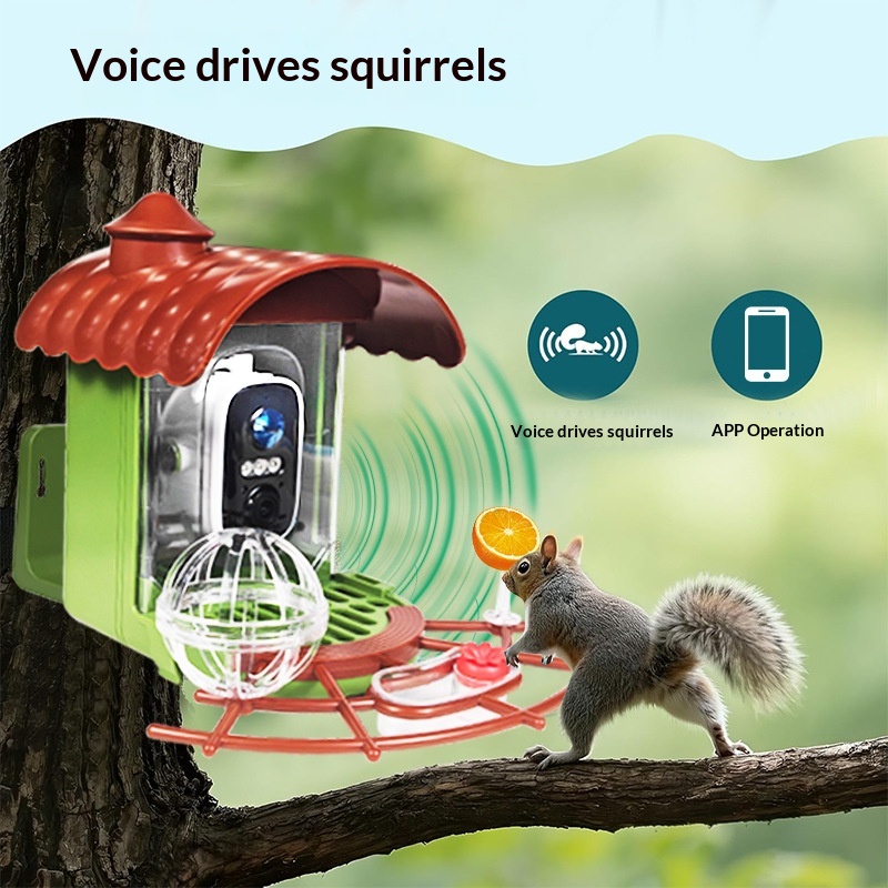 Outdoor Solar-Powered Automati - Smart Bird Feeder Camera recension och pris