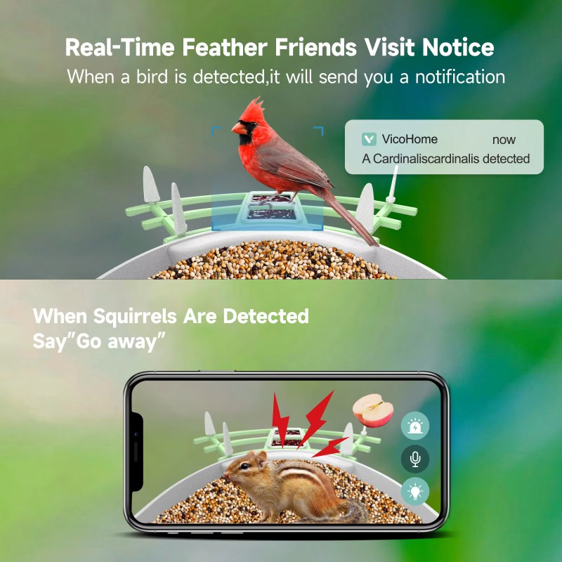 2026 App Video Auto Capture Ca - Smart Bird Feeder Camera recension och pris