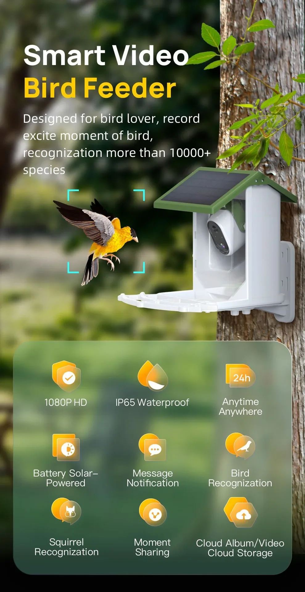 Hot Selling Cross border wild  - Smart Bird Feeder Camera recension och pris